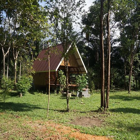 Khao Sok Jungle Resort Khao Sok National Park Dış mekan fotoğraf