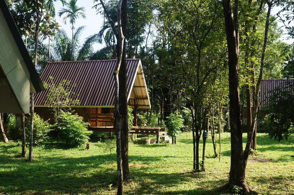 Khao Sok Jungle Resort Khao Sok National Park Oda fotoğraf