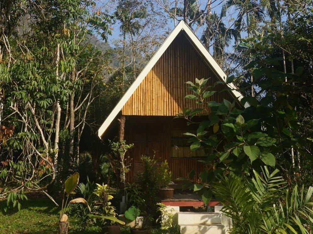 Khao Sok Jungle Resort Khao Sok National Park Dış mekan fotoğraf