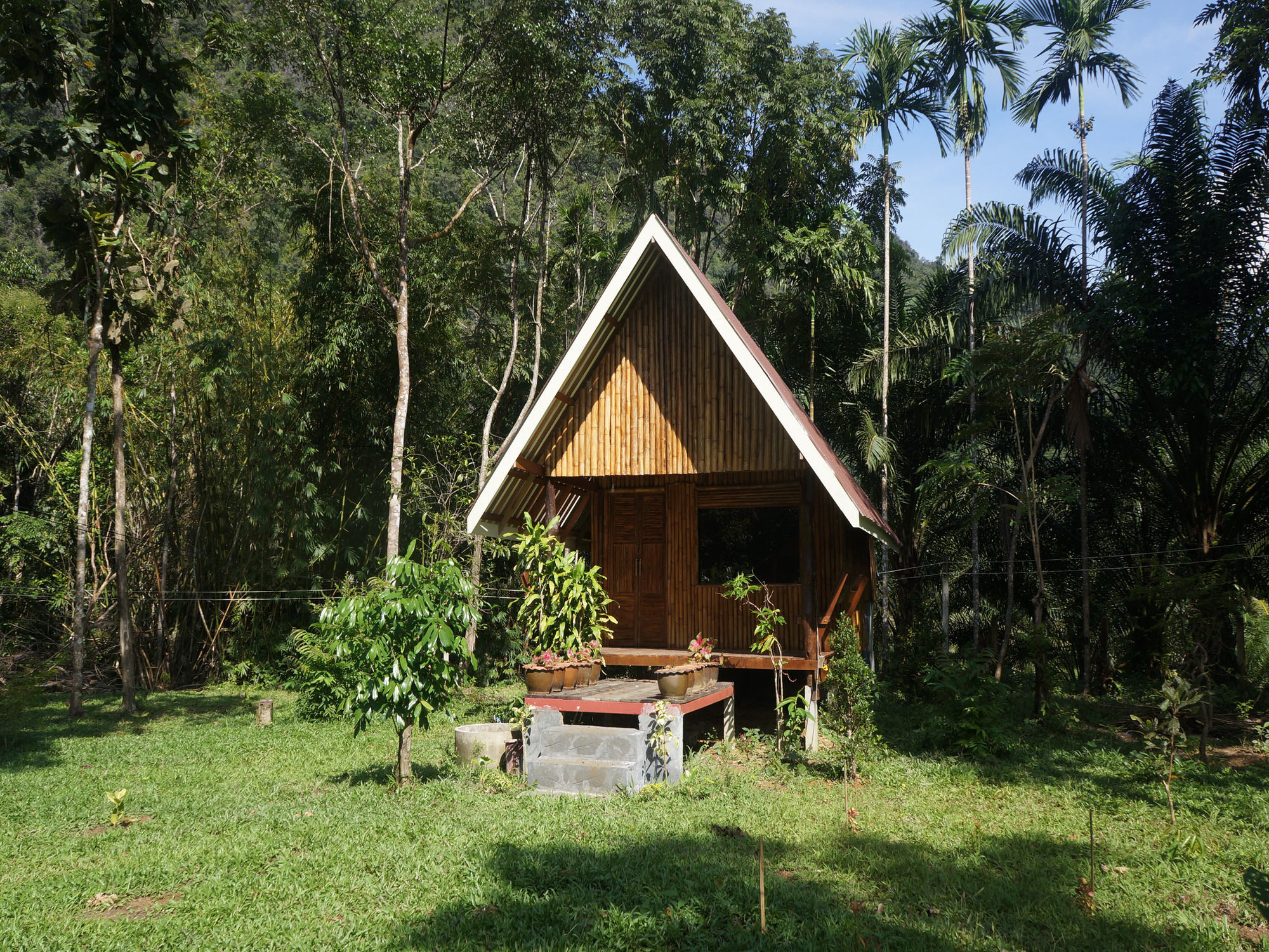 Khao Sok Jungle Resort Khao Sok National Park Dış mekan fotoğraf
