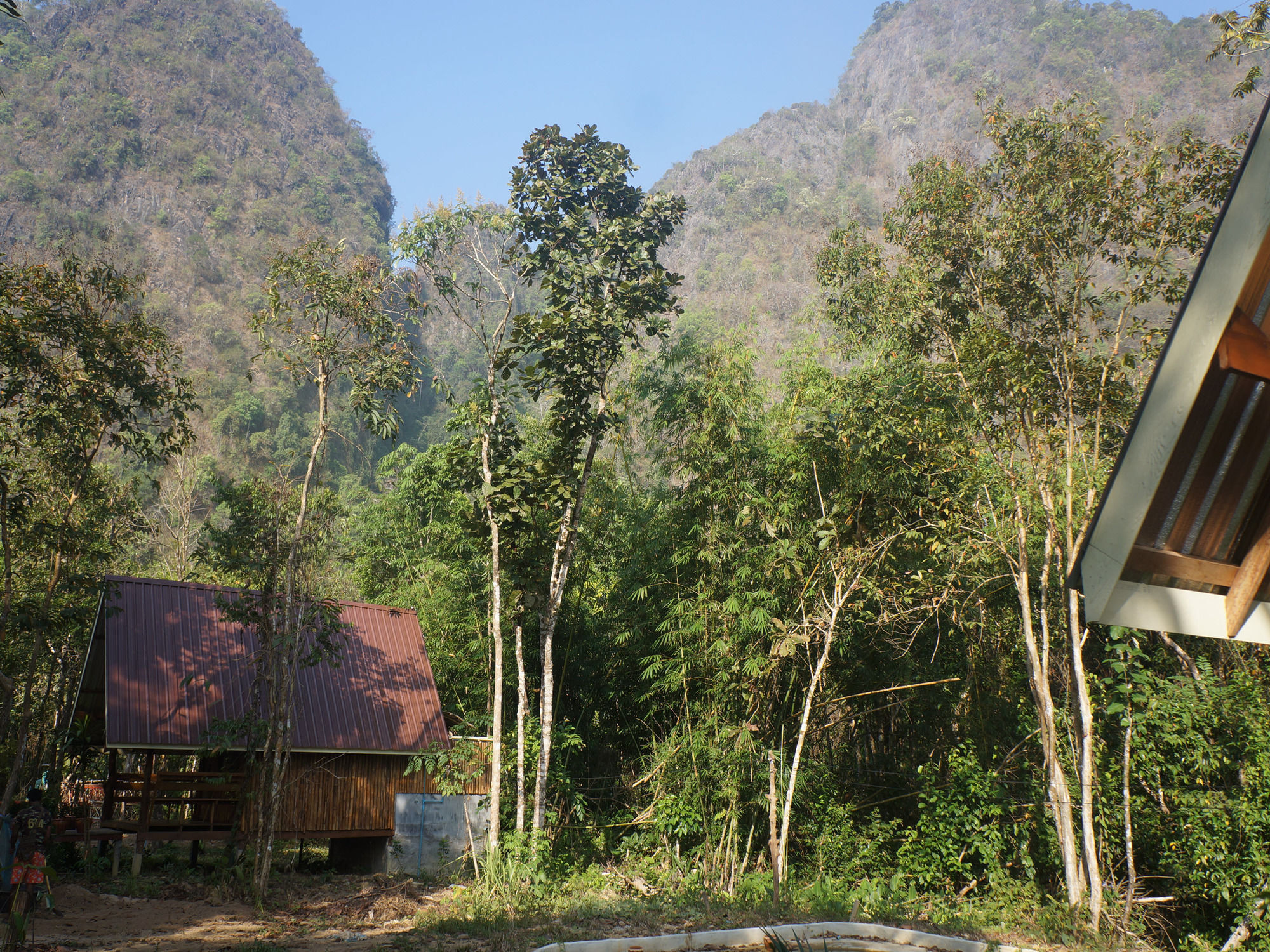Khao Sok Jungle Resort Khao Sok National Park Dış mekan fotoğraf